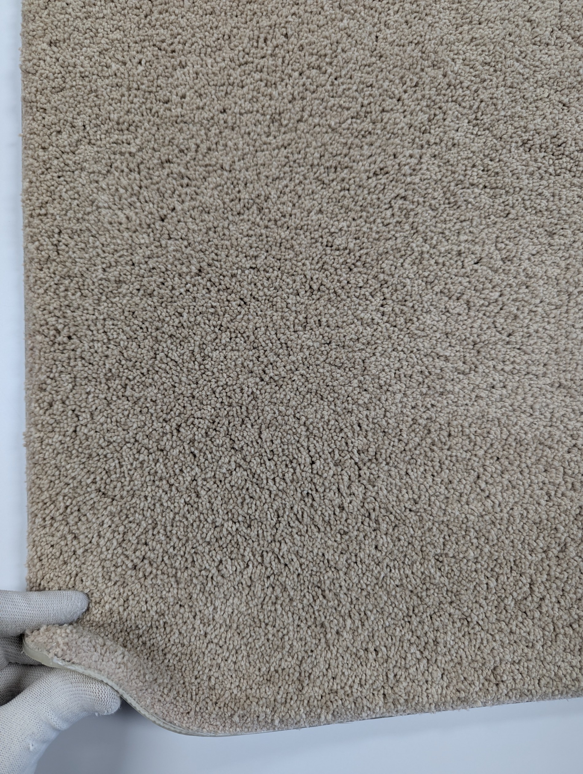 Cut Pile carpet sample